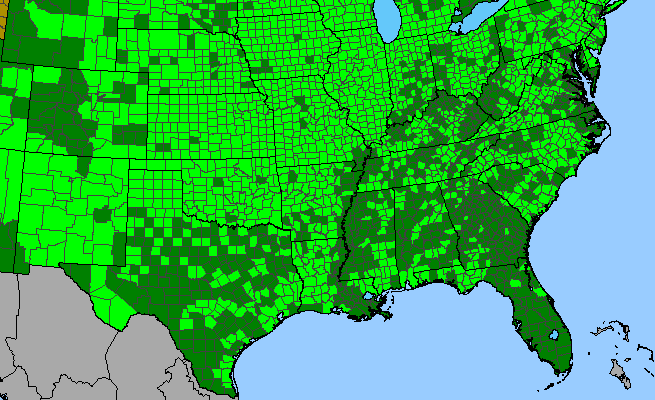 The range of Andropogon gerardii